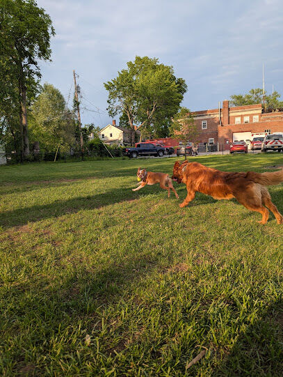 Nelson Street Dog Park