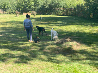 Goshen Dog Park