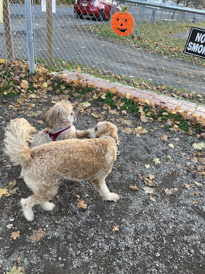 Greenwood Lake Bark Park