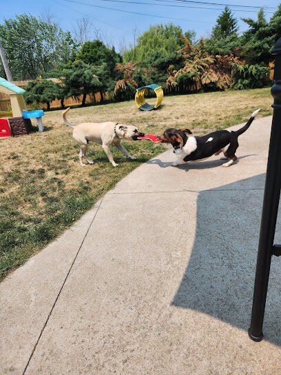 K9 Barks N Brews