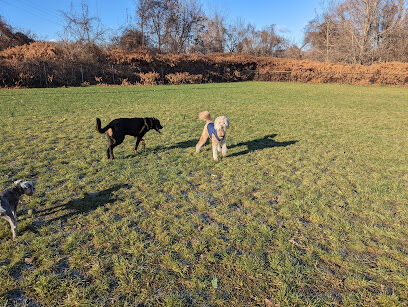 Hudson Dog Park