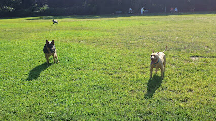 West Hills Big Dog Run