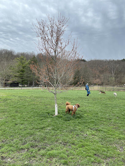 Ithaca Dog Park