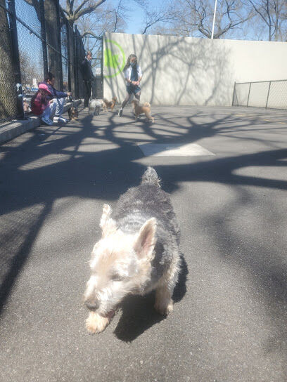 Travers Dog Run