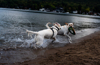 Lake George Dog Beach