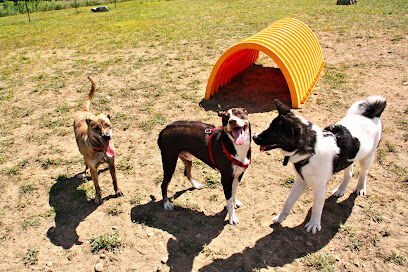 Lake George Dog Park