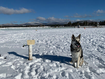 Off Leash Dog Area