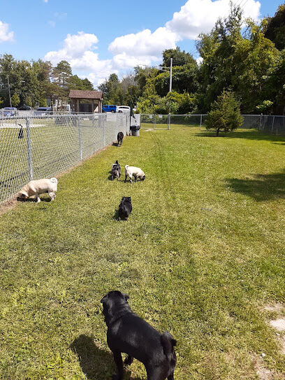 Lakewood Dog Park