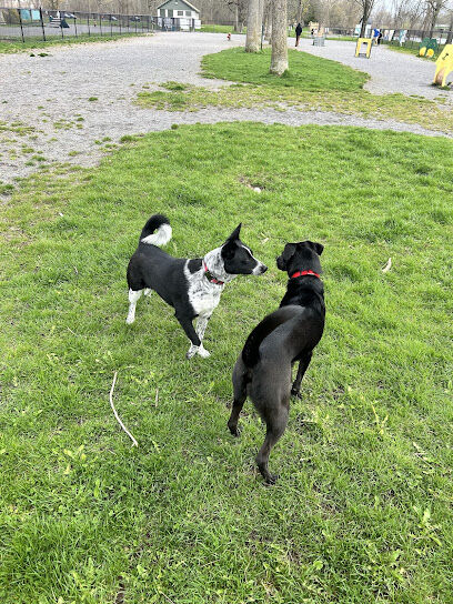Wegman's Good Dog Park