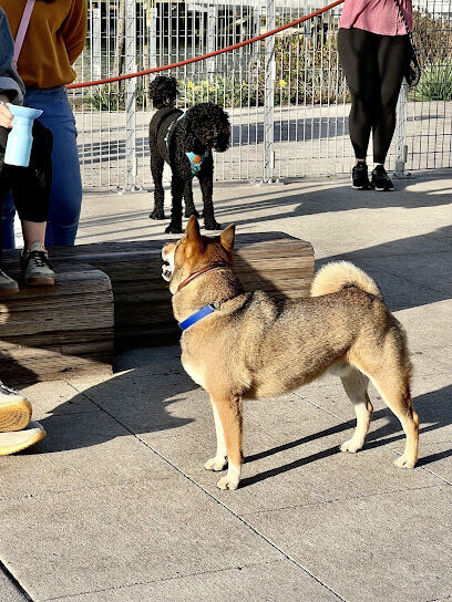 Hunter's Point South Dog Run