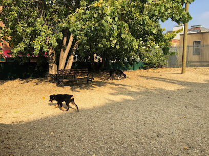 LIC Dog Park