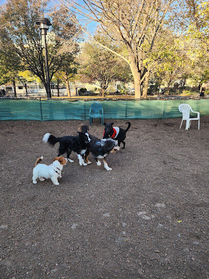 Murray Playground Dog Run