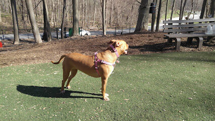 Sycamore Bark Park