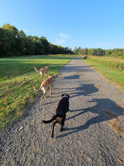 Kennedy Dells Dog Park