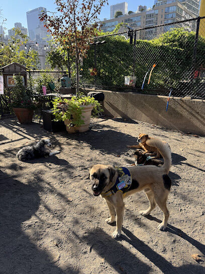 Astro's Community Dog Run