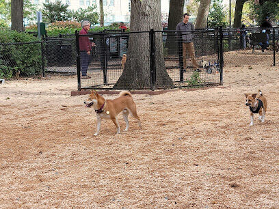 Bull Moose Dog Run