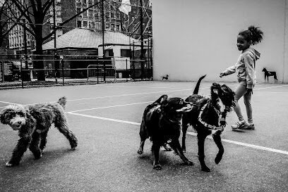 Chelsea Park Dog Run