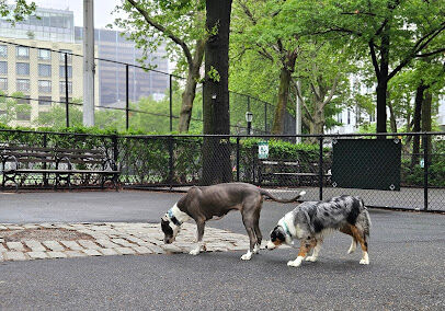 De Witt Clinton Dog Run