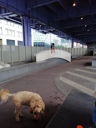 Dog Park East River Esplanade South