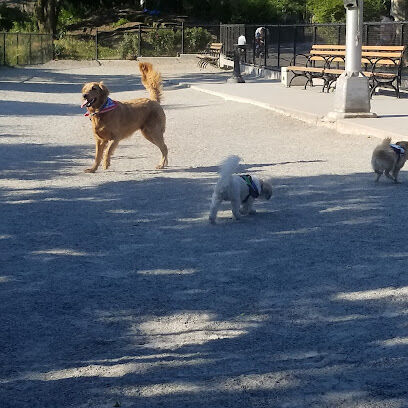 J. Hood Wright Park Dog Run