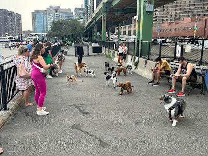 New Wave Pier Dog Run
