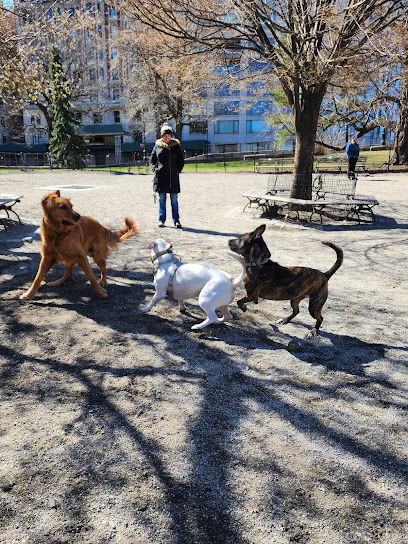 Riverside Park South Dog Run