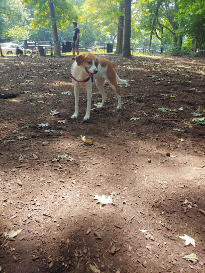 Rocky's Dog Run
