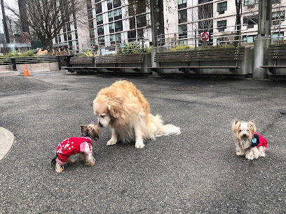 Sirius Dog Run