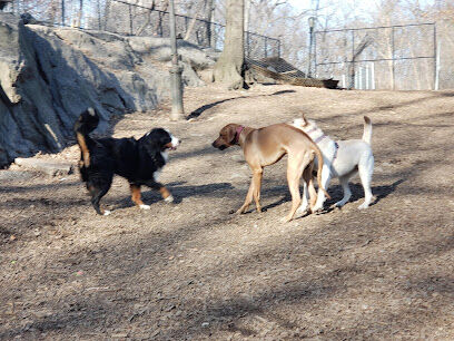 St. Nicholas Park Dog Run