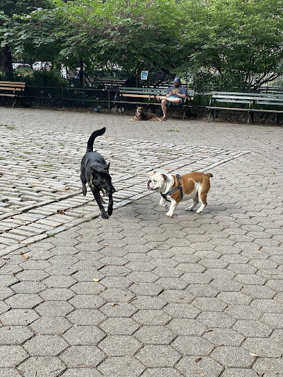 Stuyvesant Park Dog Run