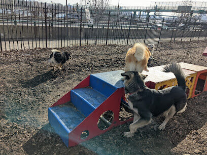 Tom's Dog Run