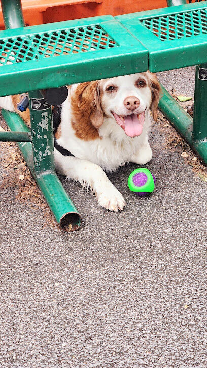Tribeca Dog Run