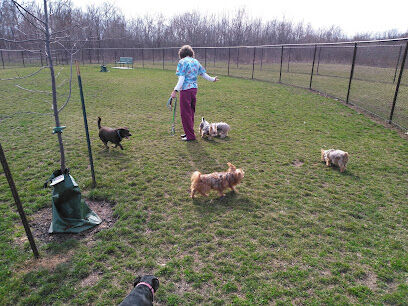 DeVeaux Woods State Park Dog Park