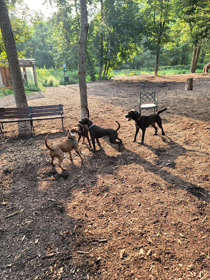 Ossining Dog Park