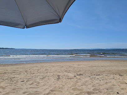 Plattsburgh City Beach Dog Park