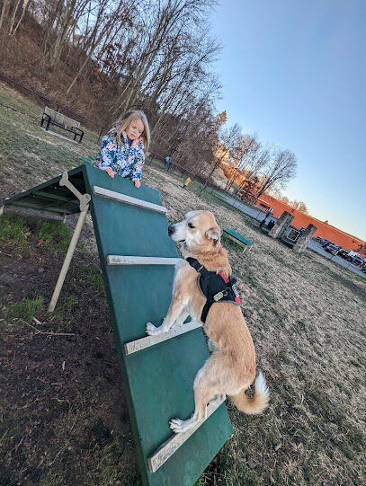 Port Jervis Dog Yard