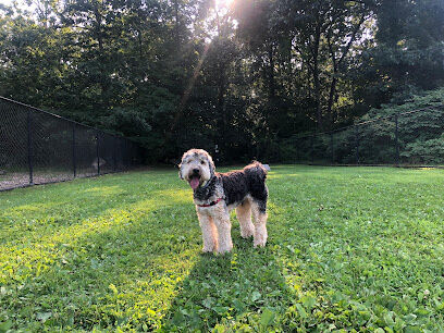 Putnam Valley Dog Park