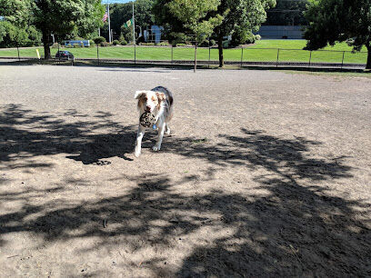 Cobbs Hill Dog Park
