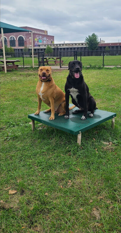 Tail Waggers Task Force