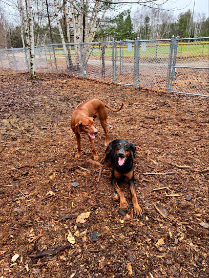 Dog Park
