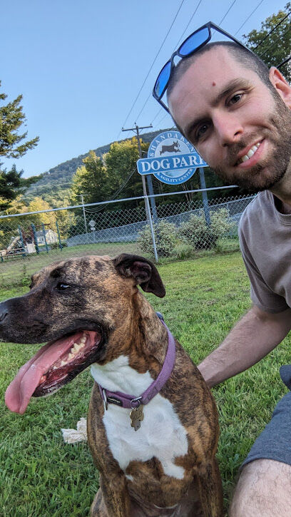 Shandaken Dog Park
