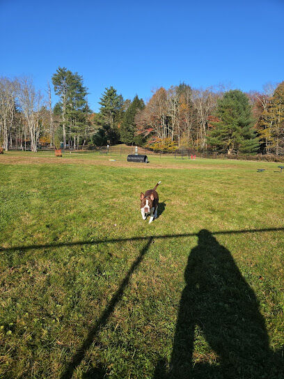 Town of Bethel Dog Park