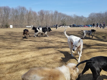 Blydenburgh Dog Park Area