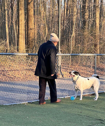 Bloomingdale Dog Run