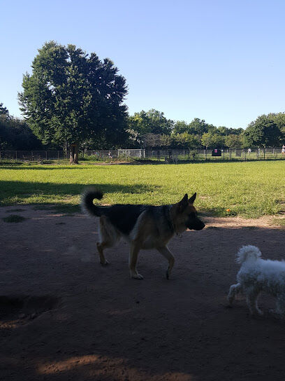 Silver Lake Dog Run