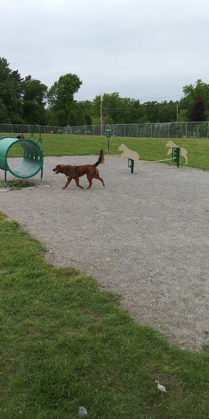 Scentral Bark Dog Park