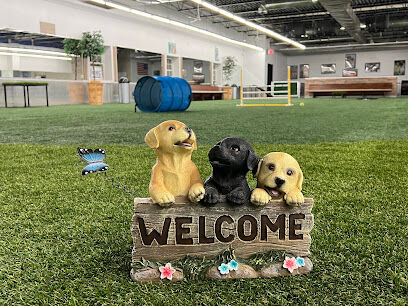 Woofs Canine Club & Indoor Dog Park
