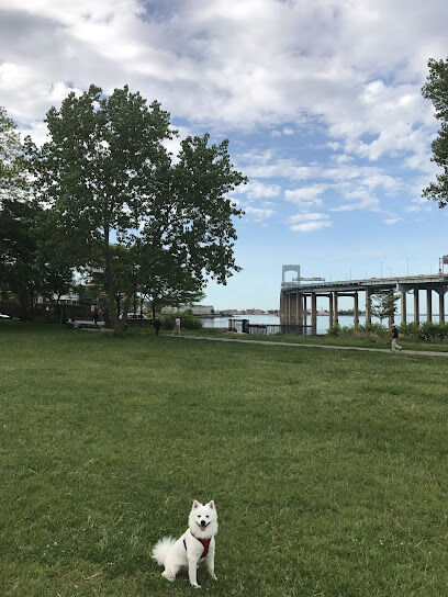 Little Bay Dog Run