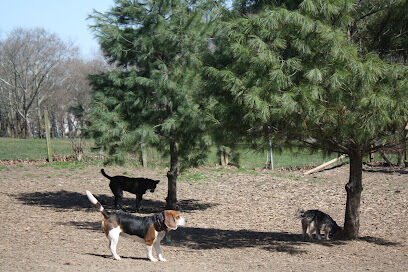 K9 Korral Dog Run