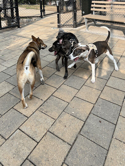 Doughboy Plaza Dog Run